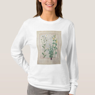 Illustration from 'The Book of Simple T-Shirt