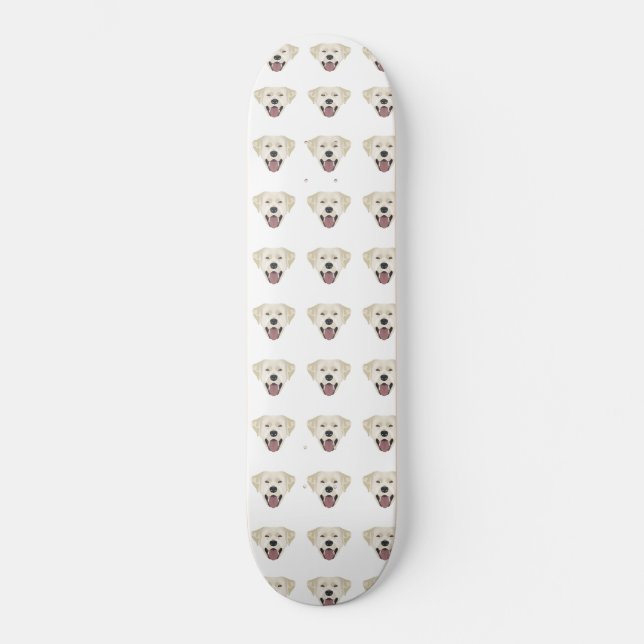 Illustration golden labrador retriever with smile skateboard (Front)