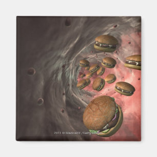 Illustration of a blood vessel with burgers magnet