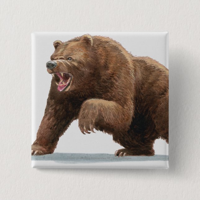 Illustration of a Brown bear 15 Cm Square Badge (Front)