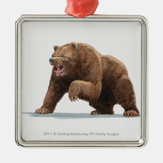 Illustration of a Brown bear Metal Tree Decoration (Front)