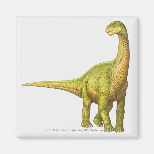 Illustration of a Camarasaurus Magnet