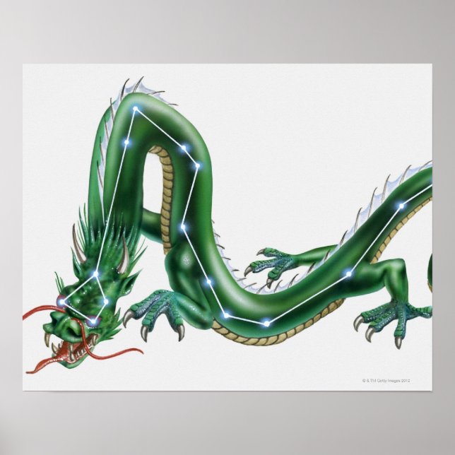 Illustration of a dragon with the Dragon (Draco) Poster (Front)
