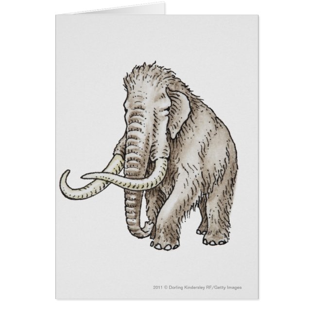 Illustration of a mammoth (Front)