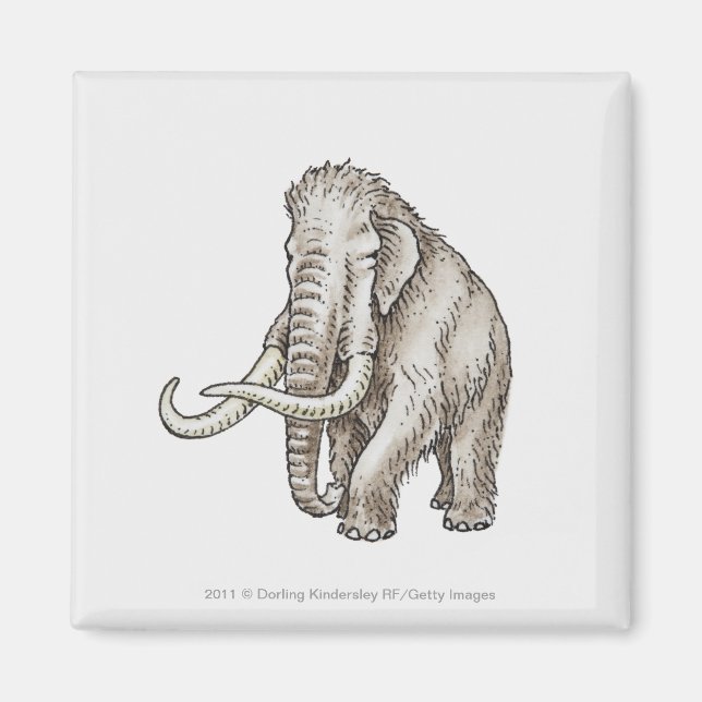 Illustration of a mammoth magnet (Front)