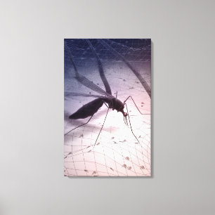 Illustration of a mosquito biting canvas print