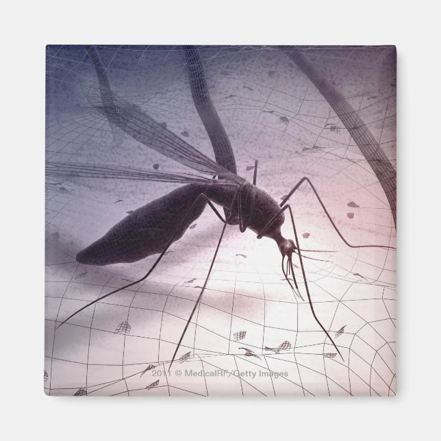 Illustration of a mosquito biting magnet (Front)