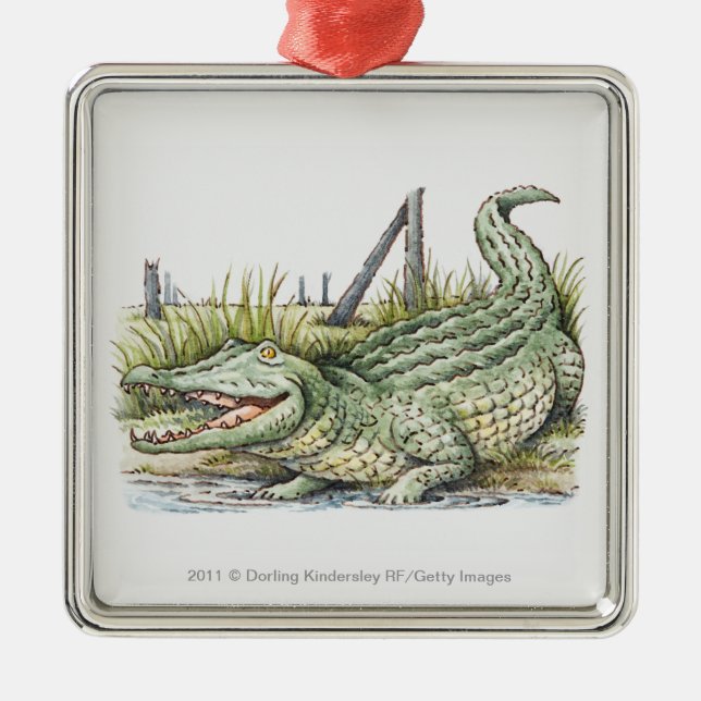 Illustration of alligator on the shore metal tree decoration (Front)