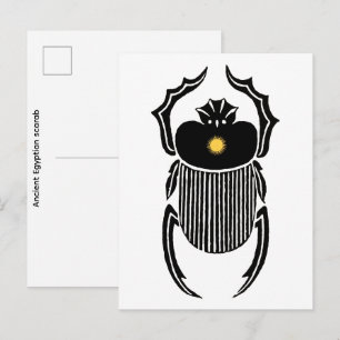 Illustration of Ancient Egyptian scarab beetle Postcard
