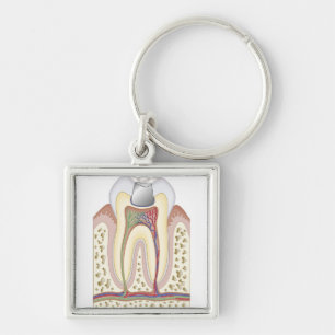 Illustration of Dental Filling Key Ring