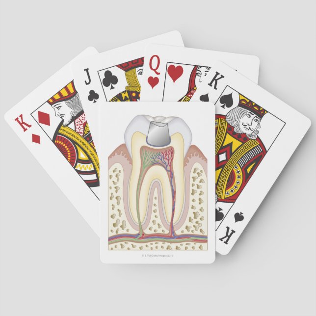Illustration of Dental Filling Playing Cards (Back)
