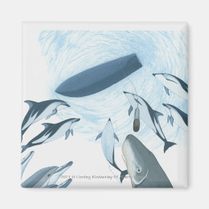 Illustration of dolphins looking up at a boat magnet
