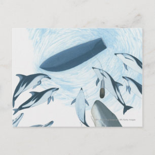 Illustration of dolphins looking up at a boat postcard