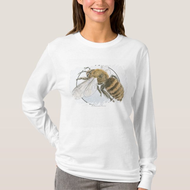 Illustration of European Honey Bee T-Shirt (Front)