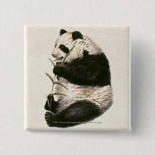 Illustration of Giant panda feeding on bamboo 15 Cm Square Badge