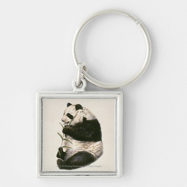 Illustration of Giant panda feeding on bamboo Key Ring (Front)