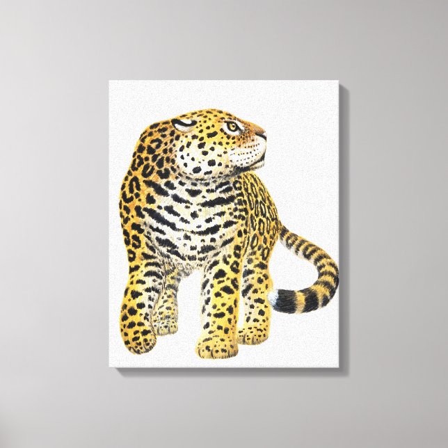 Illustration of Jaguar with head in profile Canvas Print (Front)