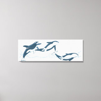 Illustration of Killer Whales (Orcinus orca) Canvas Print
