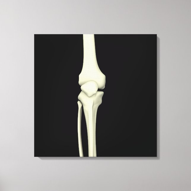 Illustration Of Knee Bone, Straight Canvas Print (Front)