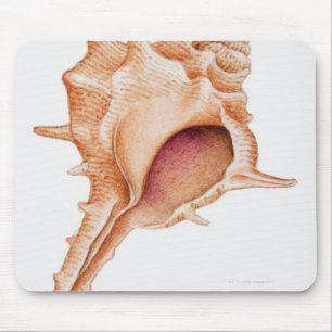 Illustration of Murex shell Mouse Pad