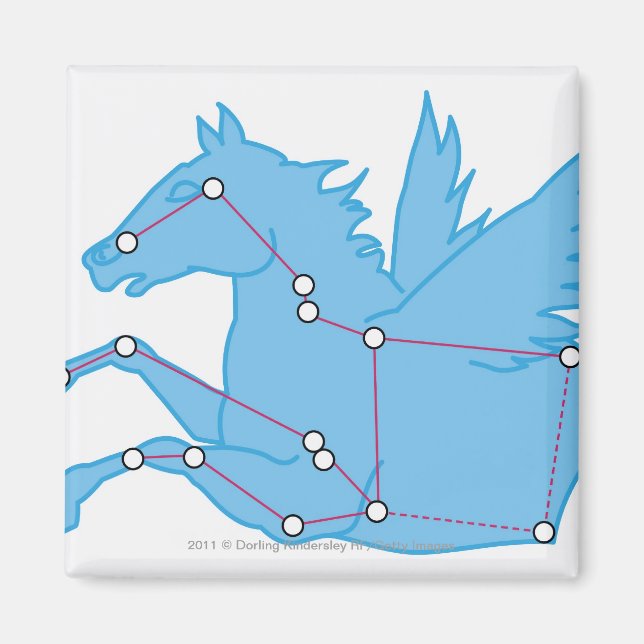 Illustration of Pegasus constellation Magnet (Front)