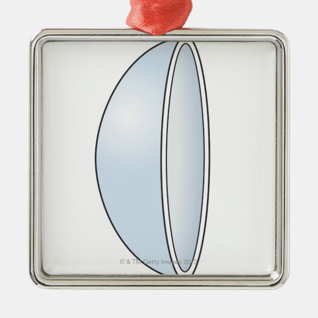 Illustration of Soft Contact Lens Metal Tree Decoration (Front)