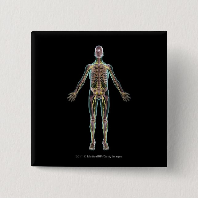 Illustration of the nervous system 15 cm square badge (Front)