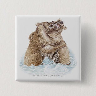 Illustration of two Brown Bears fighting in water 15 Cm Square Badge