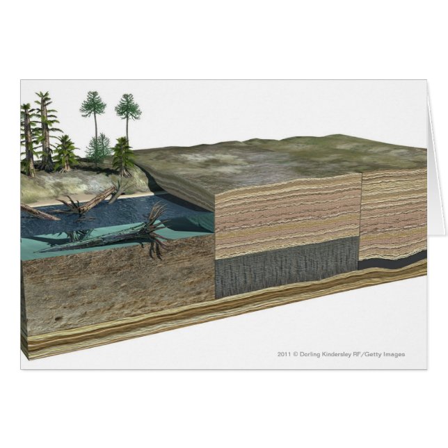 Illustration showing formation of coal (Front Horizontal)