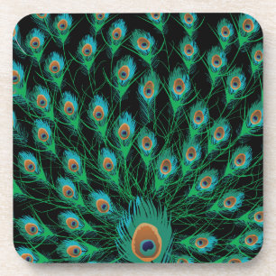 Illustration With Peacock Feathers on Black Coaster