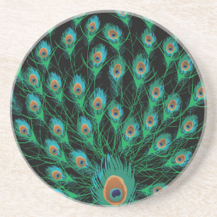 Illustration With Peacock Feathers on Black Coaster