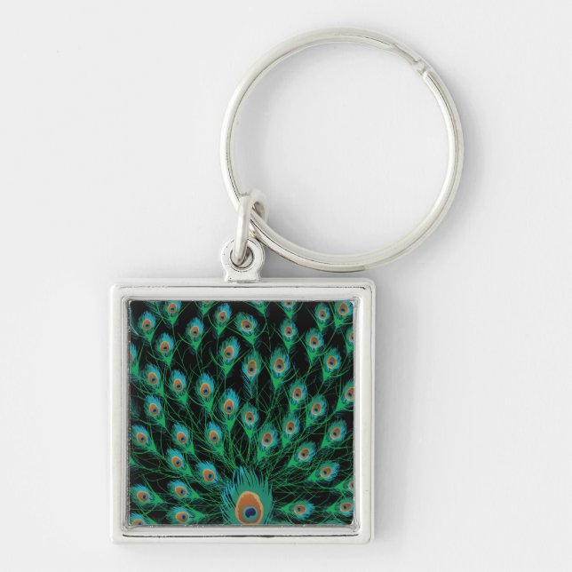 Illustration With Peacock Feathers on Black Key Ring (Front)