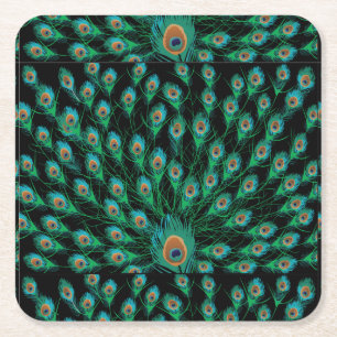 Illustration With Peacock Feathers on Black Square Paper Coaster