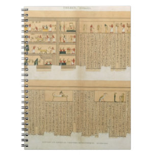 Illustrations of a Pampus manuscript with hierogly Spiral Notebook