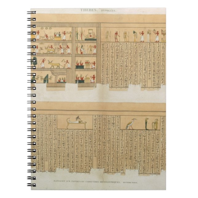Illustrations of a Pampus manuscript with hierogly Spiral Notebook (Front)
