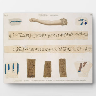 Illustrations of Hieroglyphics and the arm of a mu Plaque