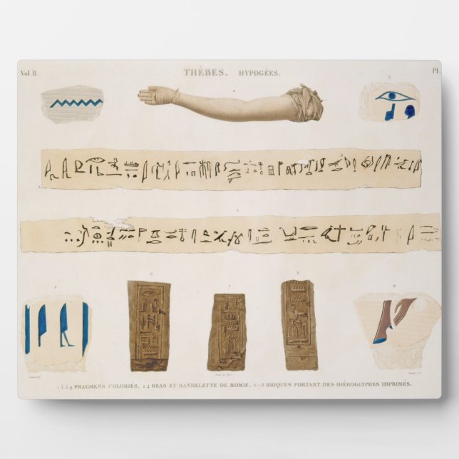 Illustrations of Hieroglyphics and the arm of a mu Plaque (Front)