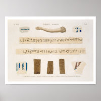 Illustrations of Hieroglyphics and the arm of a mu