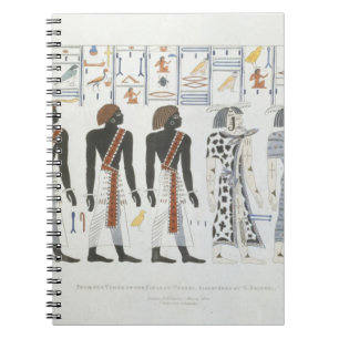 Illustrations of hieroglyphics from the Tombs of t Spiral Notebook
