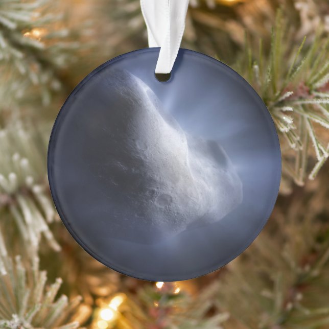 Illustrative Close-Up The Comet Tempel. Ornament (Tree)