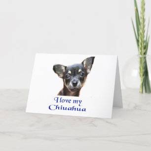 Ilovemychiwawatee Holiday Card