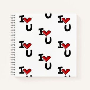 ilovu notebook