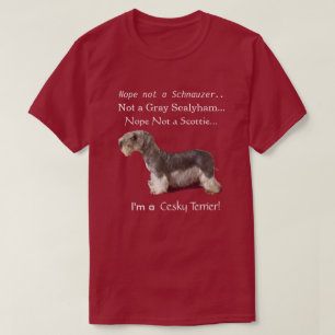 I'm a Cesky Terrier T-Shirt
