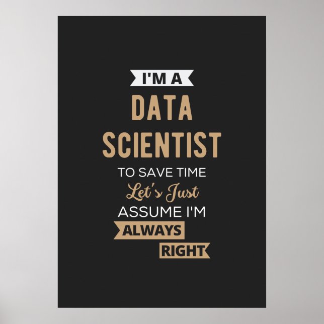 I'm A Data Scientist, To Save Time Let's Just Poster (Front)