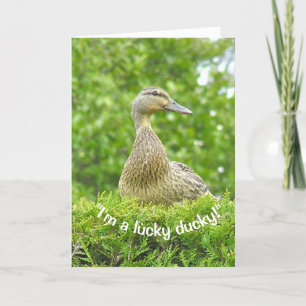 "I'M A LUCKY DUCKY/GOT YOU FOR A DAD" CARD