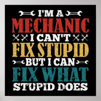 I'm A Mechanic I Can't Fix Stupid Funny Mechanic