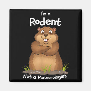 Im A Rodent Not A Meteorologist Groundhog Lovers _ Magnet