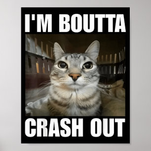 Im About to Crash Out Cat Poster