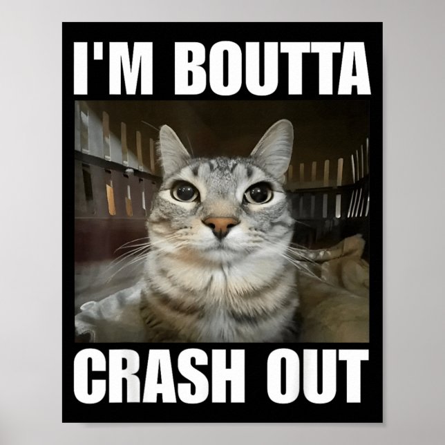 Im About to Crash Out Cat Poster (Front)