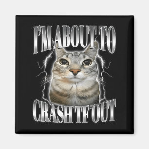 I'm About To Crash Out Funny Staring Cat Brainrot Magnet